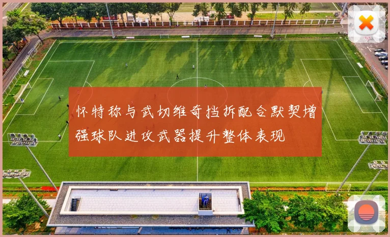 怀特称与武切维奇挡拆配合默契增强球队进攻武器提升整体表现